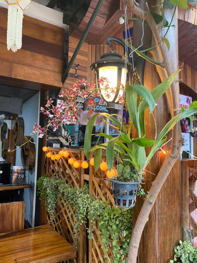 Bb House Budget & Boutique Chiang Mai Eksteriør billede