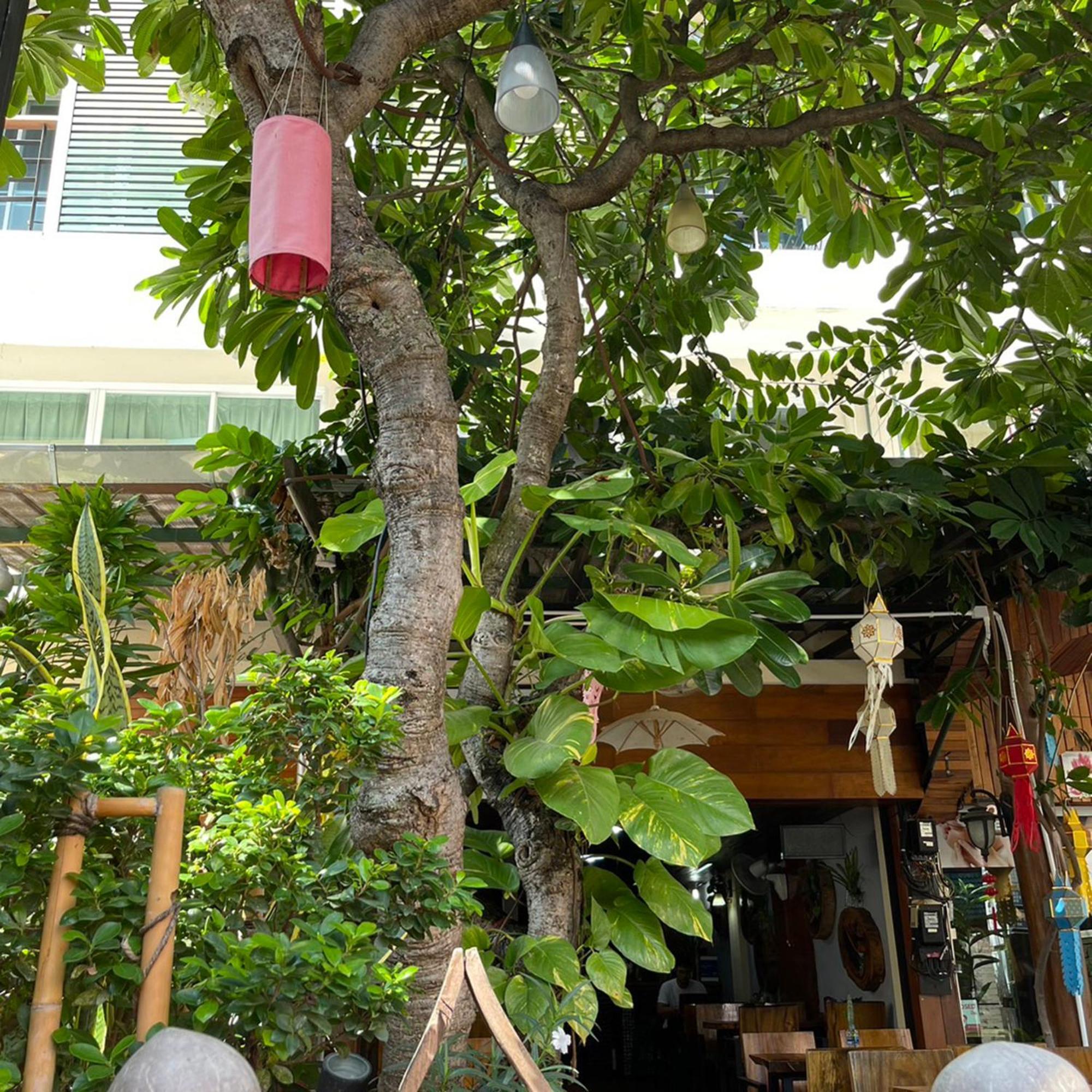 Bb House Budget & Boutique Chiang Mai Eksteriør billede